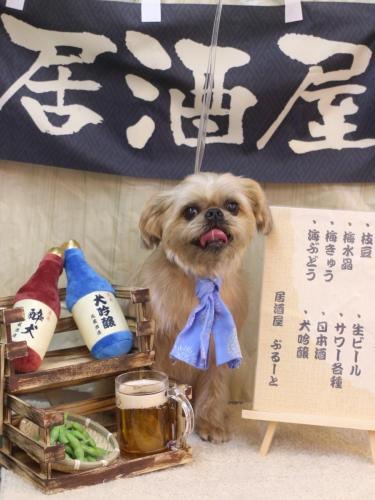 20240623ムーちゃん